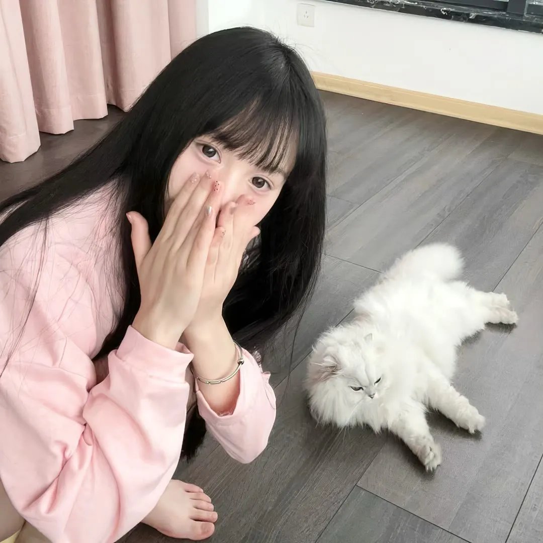 金鸡啼晓
